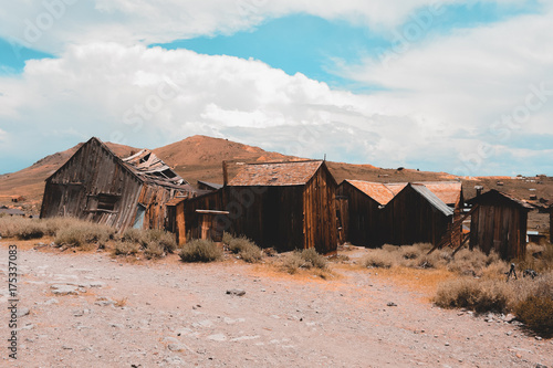 Bodie