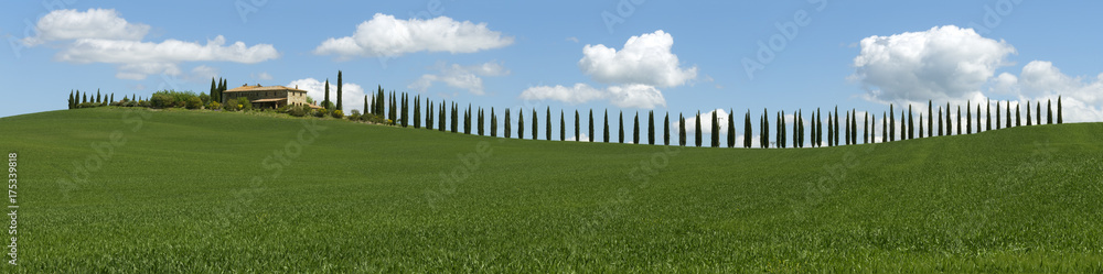 Tuscany panorama with farmhouse and cypresses