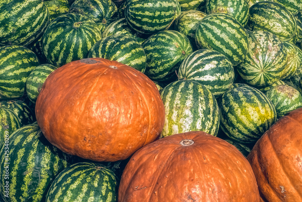 Pumpkins and melons