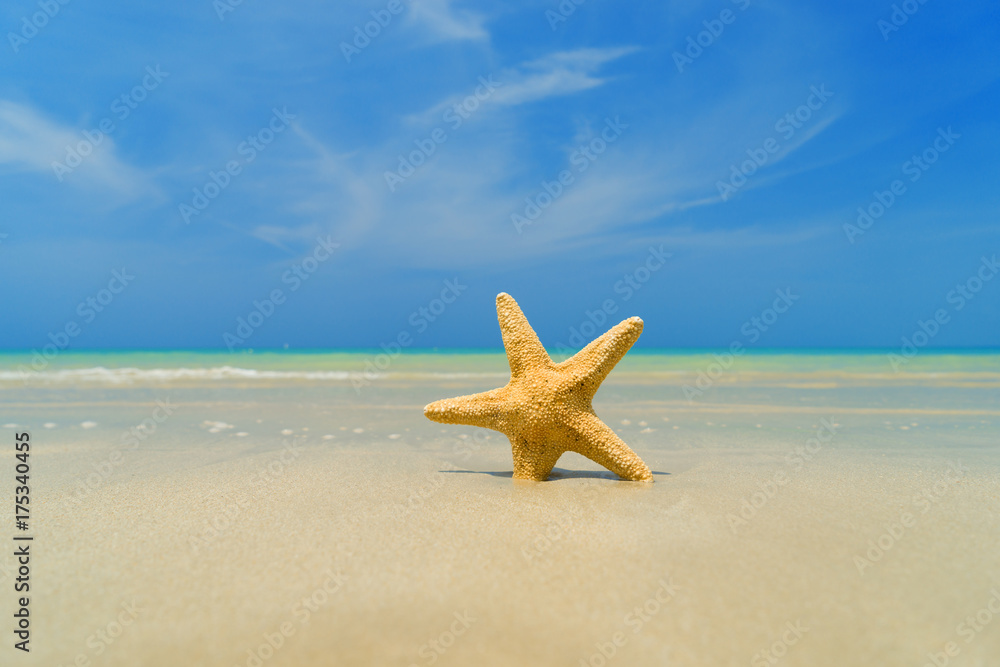 Starfish on the tropical  beach on a sunny day