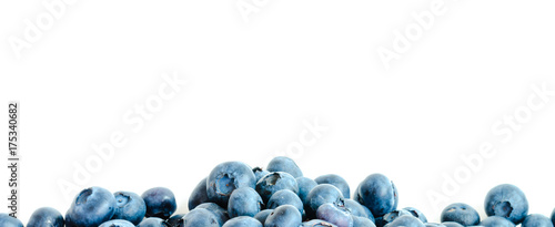 Canvas Print Studio shot pile of freshly picked organic blueberries isolated on white background
