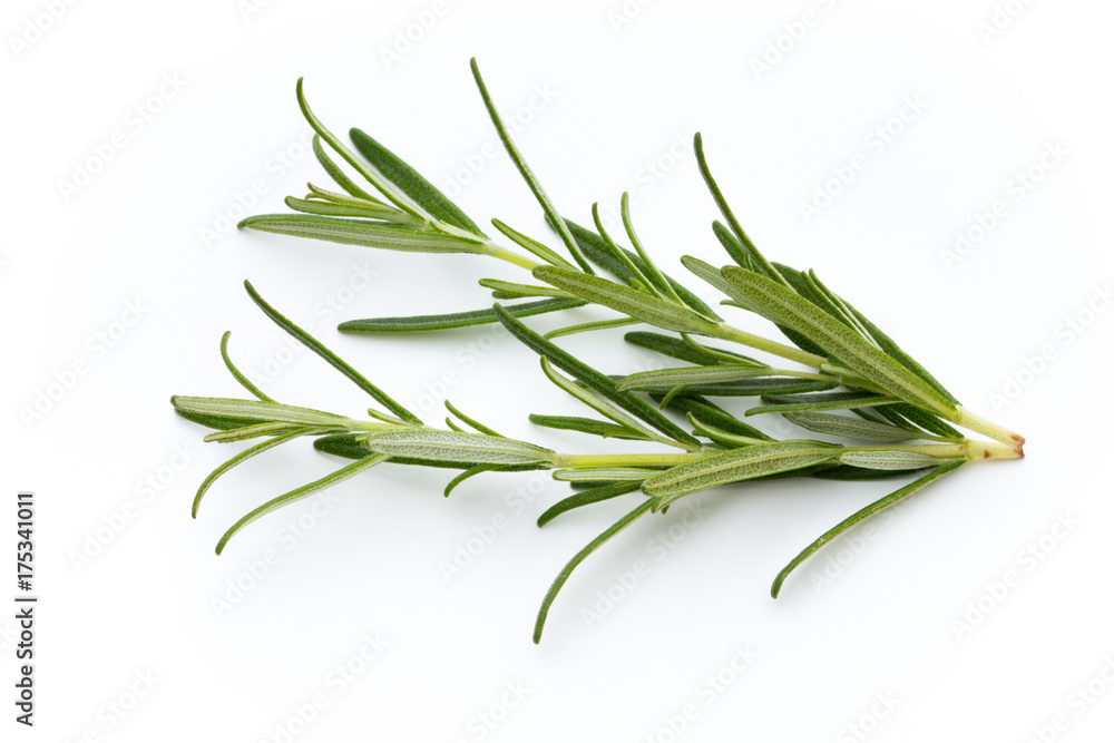 Fototapeta premium Rosemary isolated on white background, Top view.