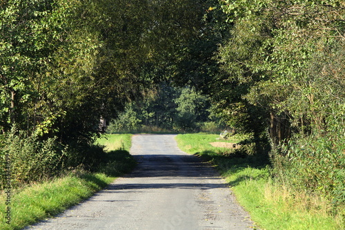 krajobraz żywa brama