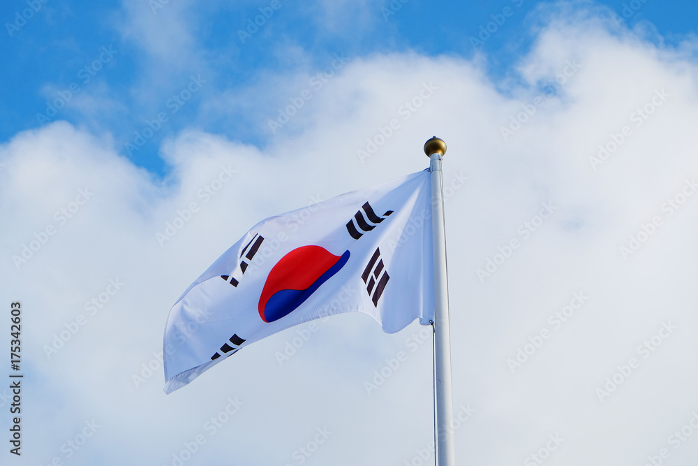 Fototapeta premium South Korea flag against cloudy sky