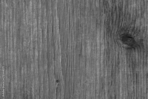 Texture of wood. Natural wooden background