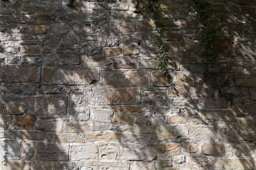 Fototapeta premium Old wall with shadows background