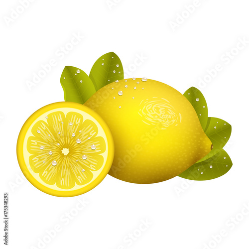 Yellow lemon fruits svector illustration vegetarian diet cytrus freshness tropical slice