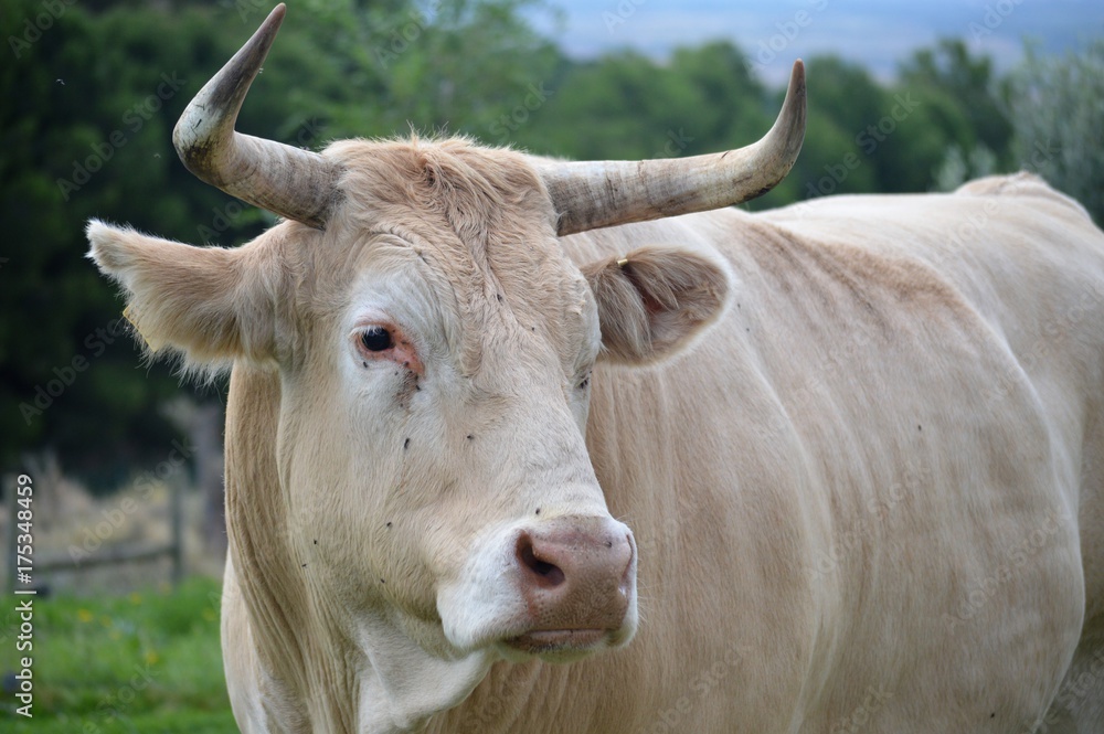 Parque Natural SendaViva Navarra España