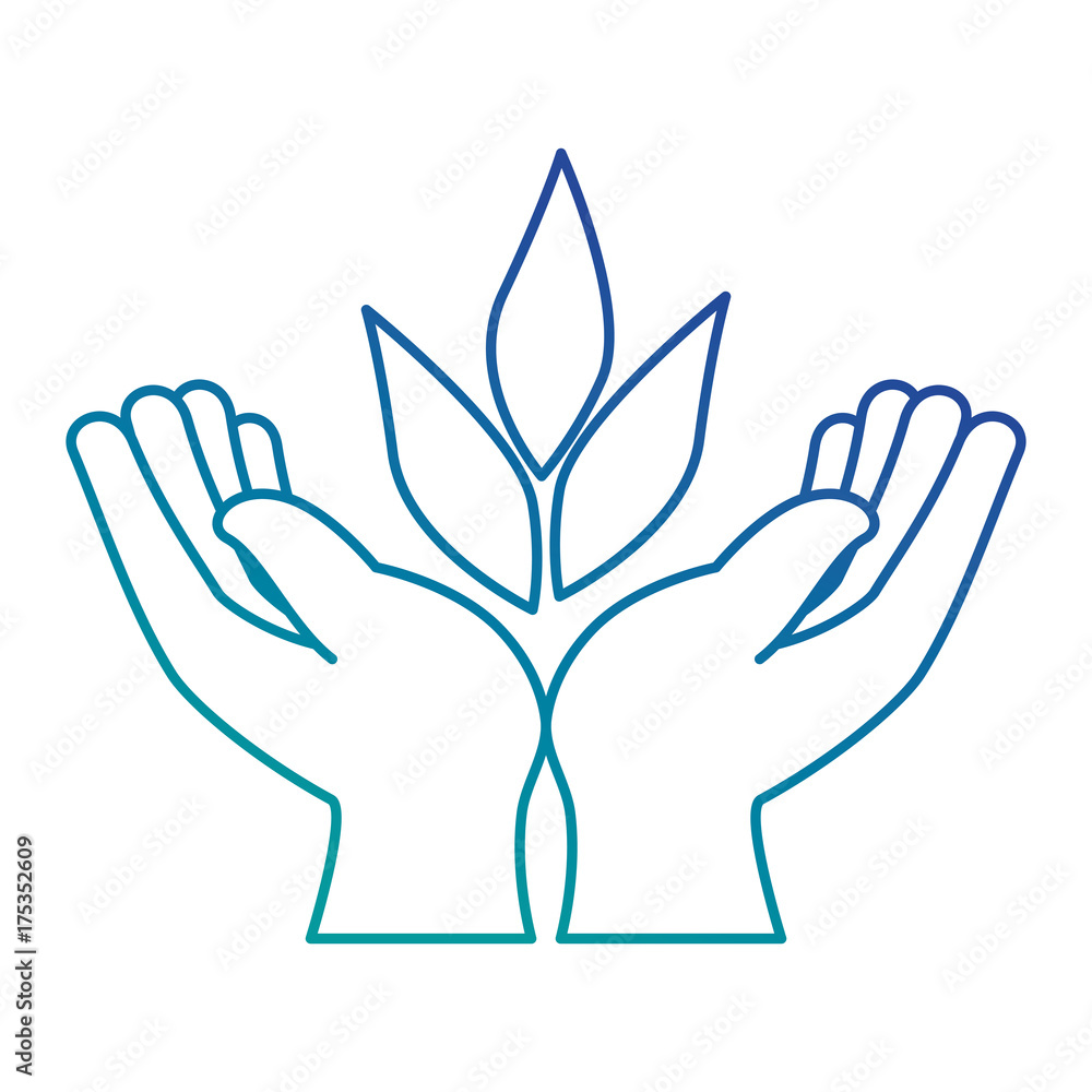 hands human protection with leafs hands human protection with leafs