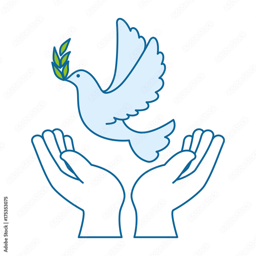 hands human with dove of peace hands human with dove of peace
