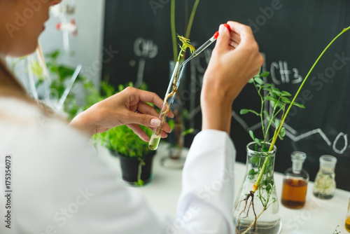 Biologist working in laboratory