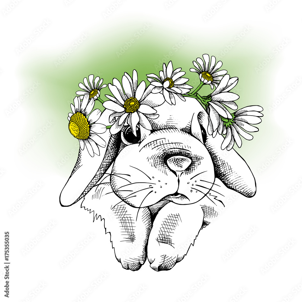 Naklejka premium Small rabbit in the chamomile crown. Vector illustration.