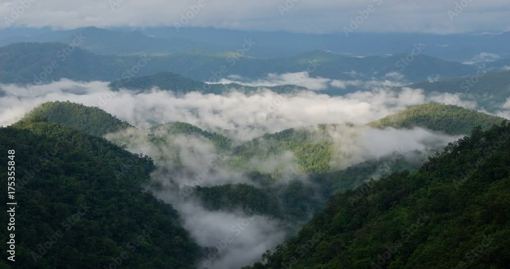 Beautiful foggy morning movement on the mountain in Chiang Mai,Thailand. Beautiful foggy morning movement on the mountain in Chiang Mai,Thailand.
