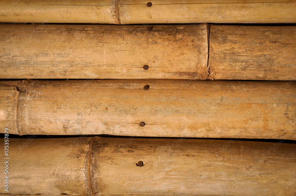 Obraz premium bamboo background