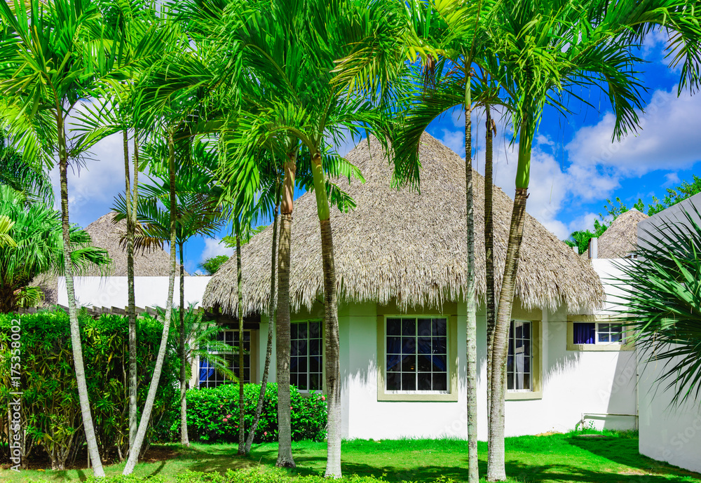 house with a roof made of palm branches
