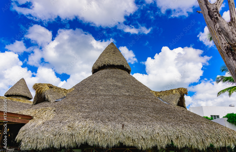 roof of palm leaves