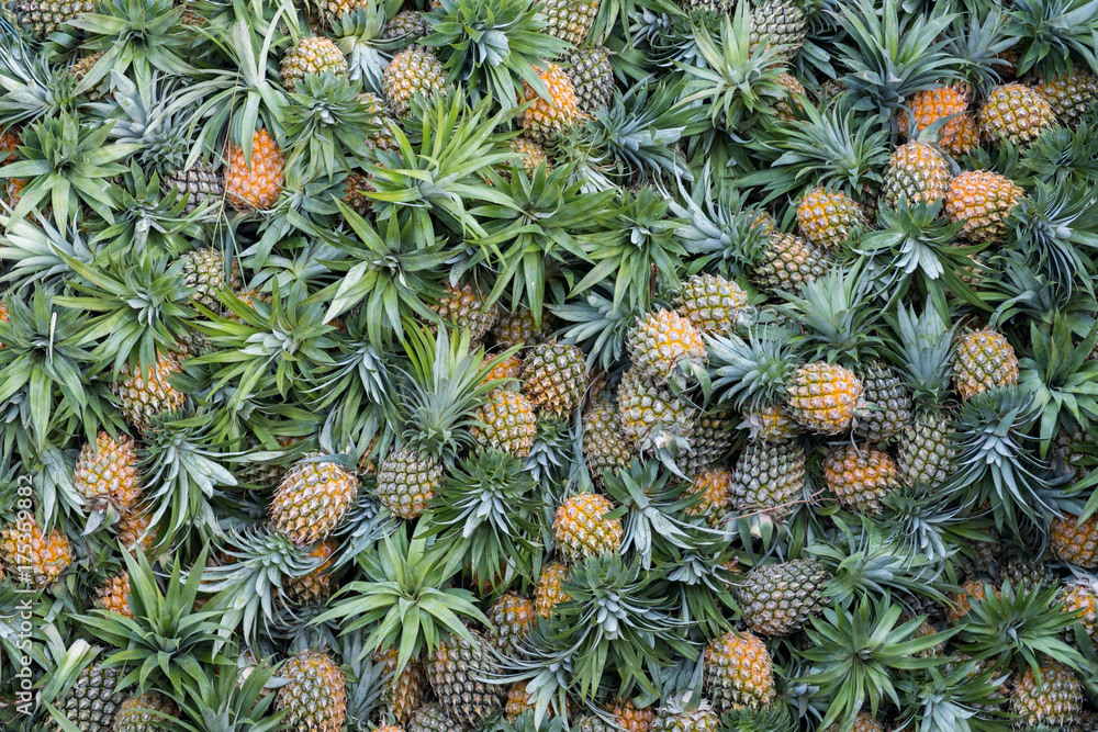 Obraz premium Pile of pineapples fruit on market stall