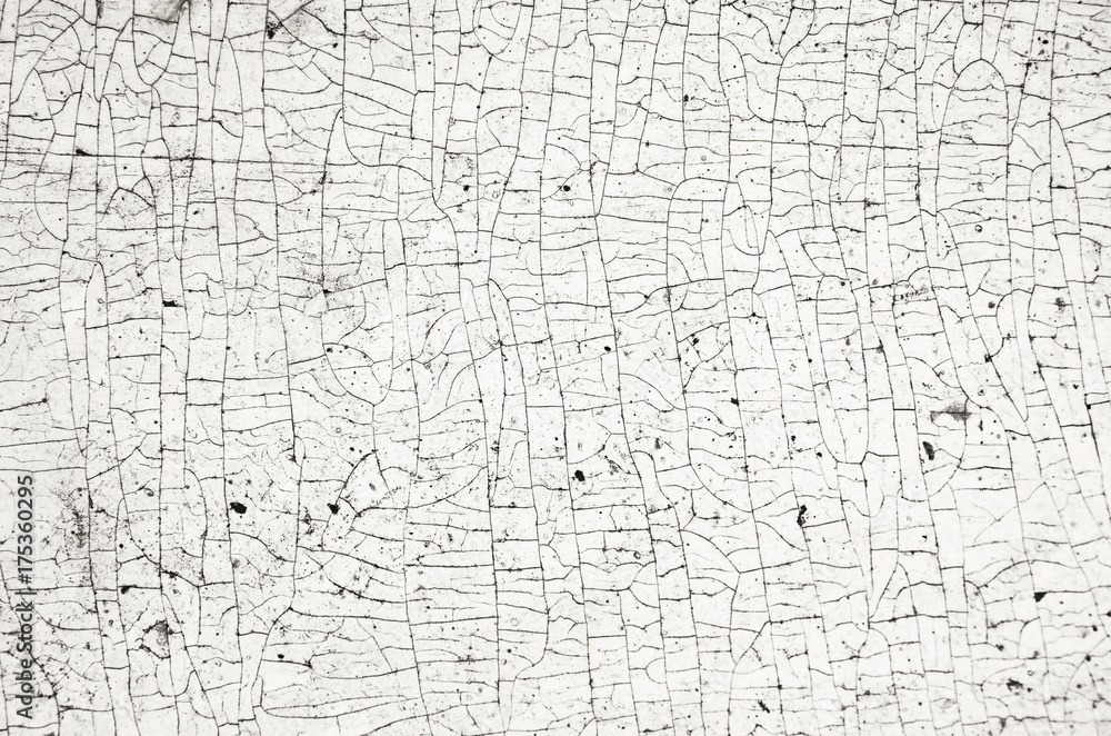 Obraz premium background of old wall texture