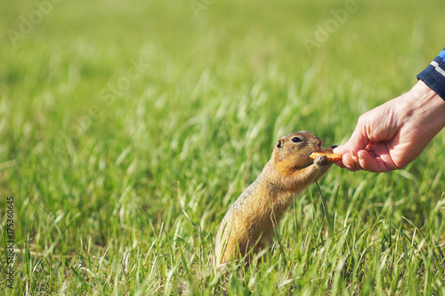 lunch © Maksim