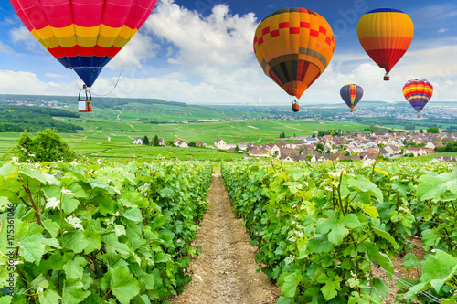 Colorful hot air balloons flying over champagne Vineyards at Montagne de Reims  France