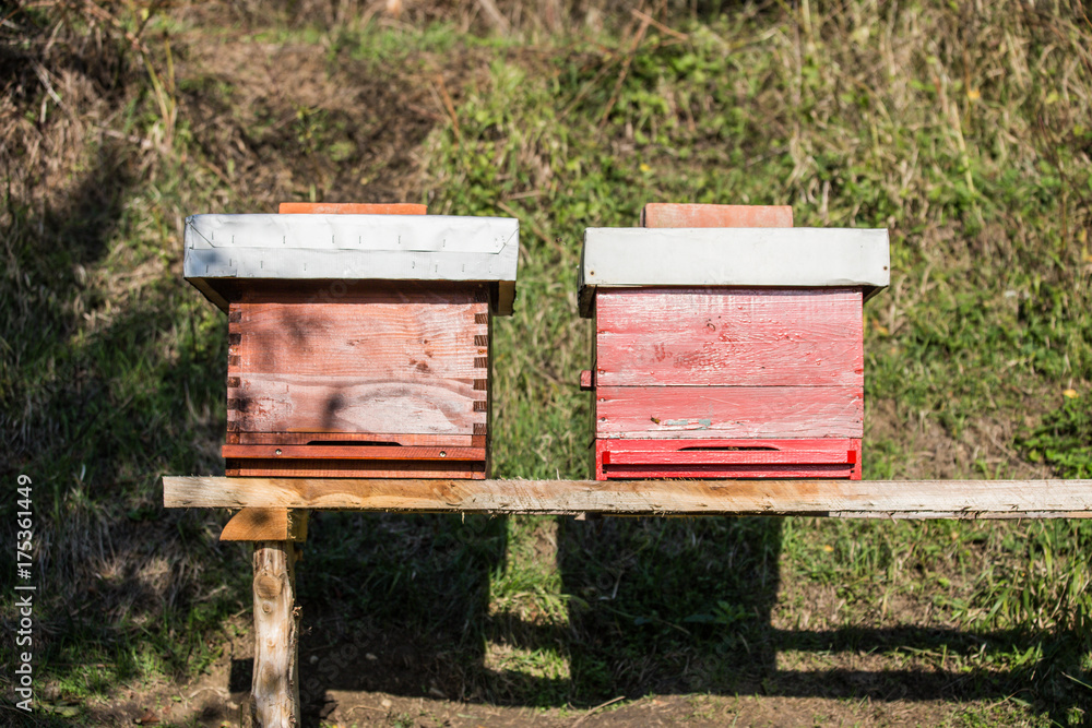 Wooden hive for bees, beekeeping, honey, health, healthy life Wooden hive for bees, beekeeping, honey, health, healthy life