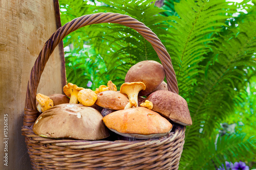  Fresh mushrooms in the basket.