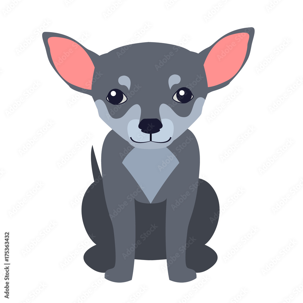 Cute Chihuahua Dog Cartoon Flat Vector Icon Cute Chihuahua Dog Cartoon Flat Vector Icon