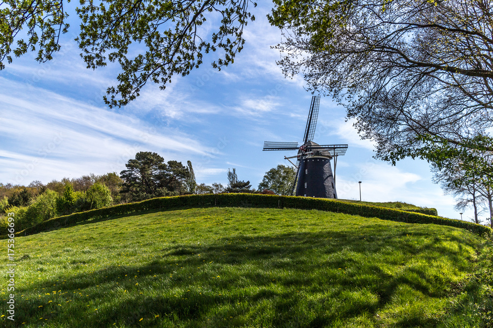 Dutch Windmill in the sun