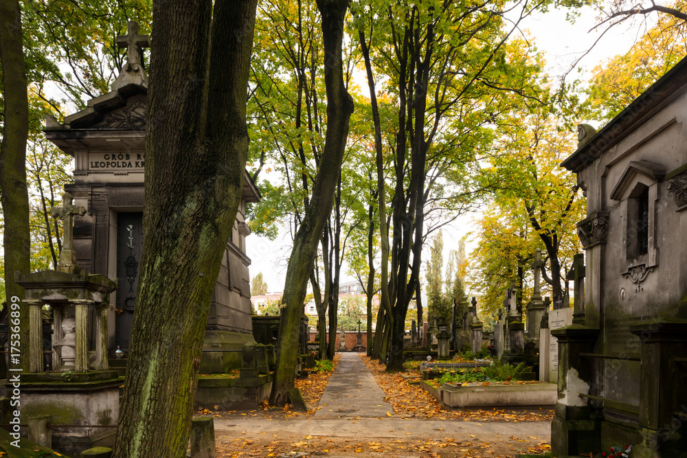 Cmentarz Powązkowski w Warszawie