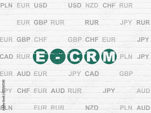 Finance concept  E-CRM on wall background