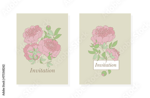 tender peony flower vector ...