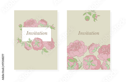 tender peony flower vector ...