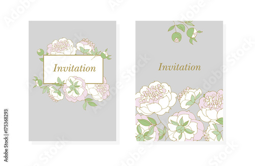 tender peony flower vector ...