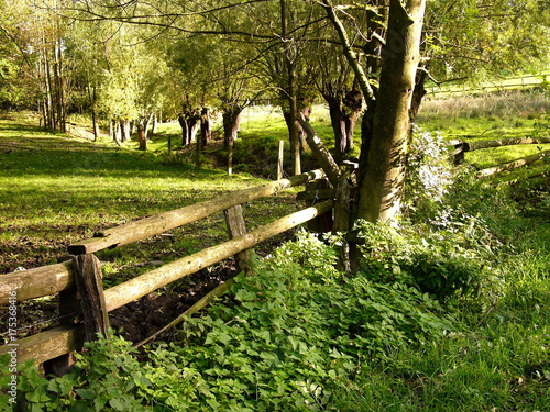 Viehweide im Herbst mit altem Holzgatter im Naturschutzgebiet am Grütebach im Sonnenschein zwischen Oerlinghausen und Asemissen bei Bielefeld im Teutoburger Wald in Ostwestfalen-Lippe photo