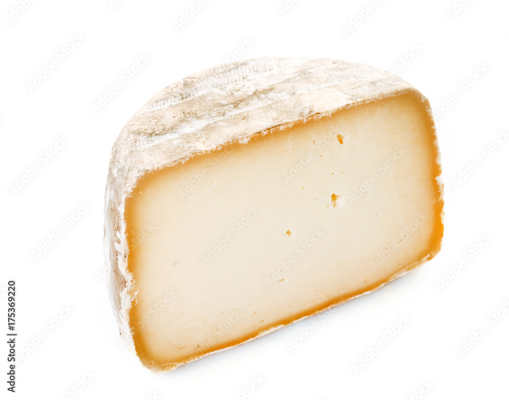 sheep's cheese in studio sheep's cheese in studio