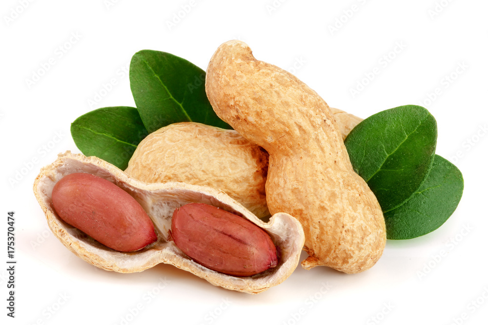 peanuts with leaf isolated on white background peanuts with leaf isolated on white background