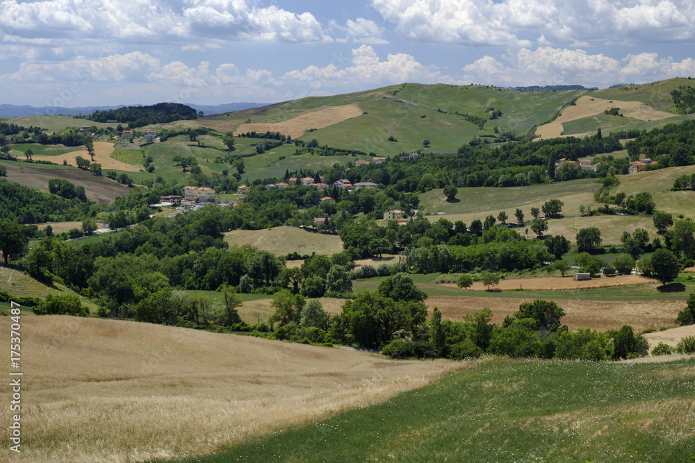 Landscape in Montefeltro (Marches, Italy) Landscape in Montefeltro (Marches, Italy)