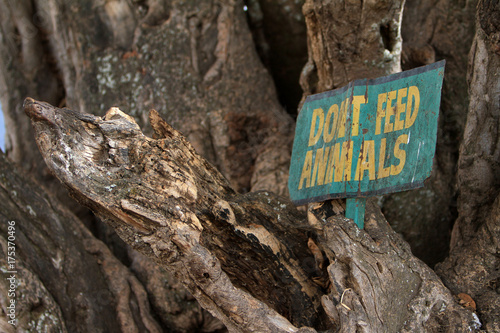 dont feed animals