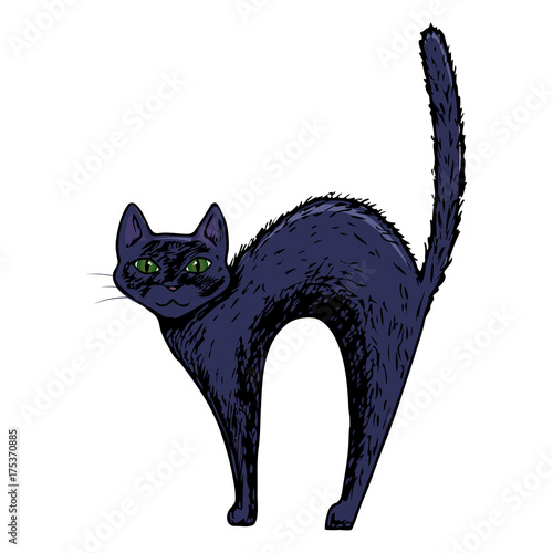 Black cat, scary Halloween sketch illustration. Vector