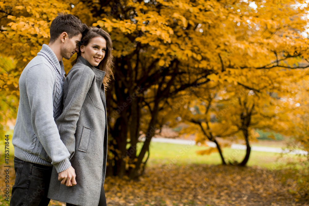 Lovely young couple in the autumn forest Lovely young couple in the autumn forest
