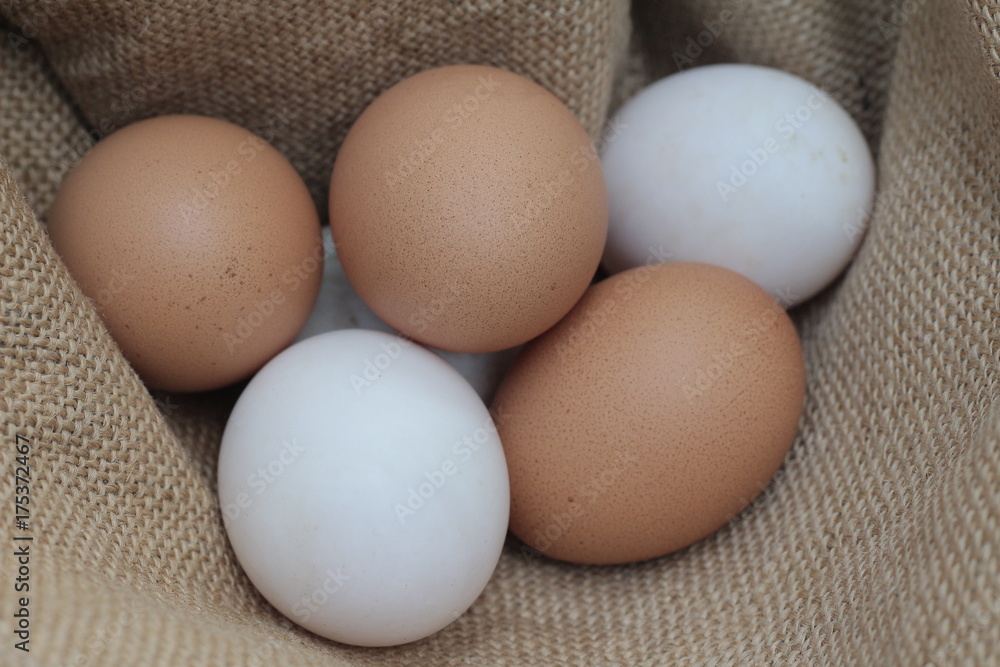 eggs eggs