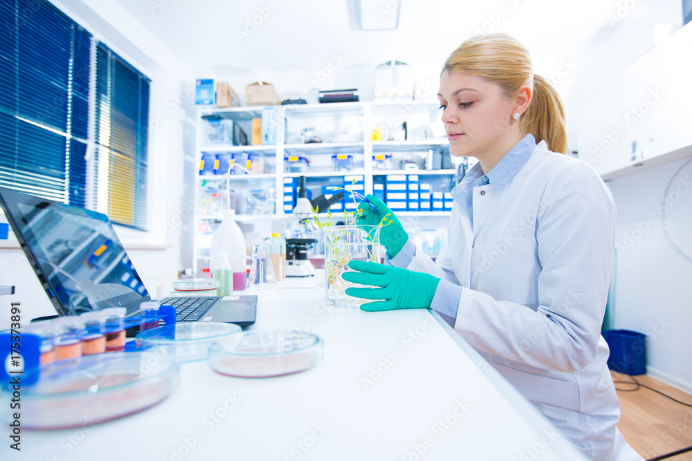 Fototapeta premium Experiment with genetically modified plants. Young woman laboratory assistant at the Laboratory of Plant Genetics GMO