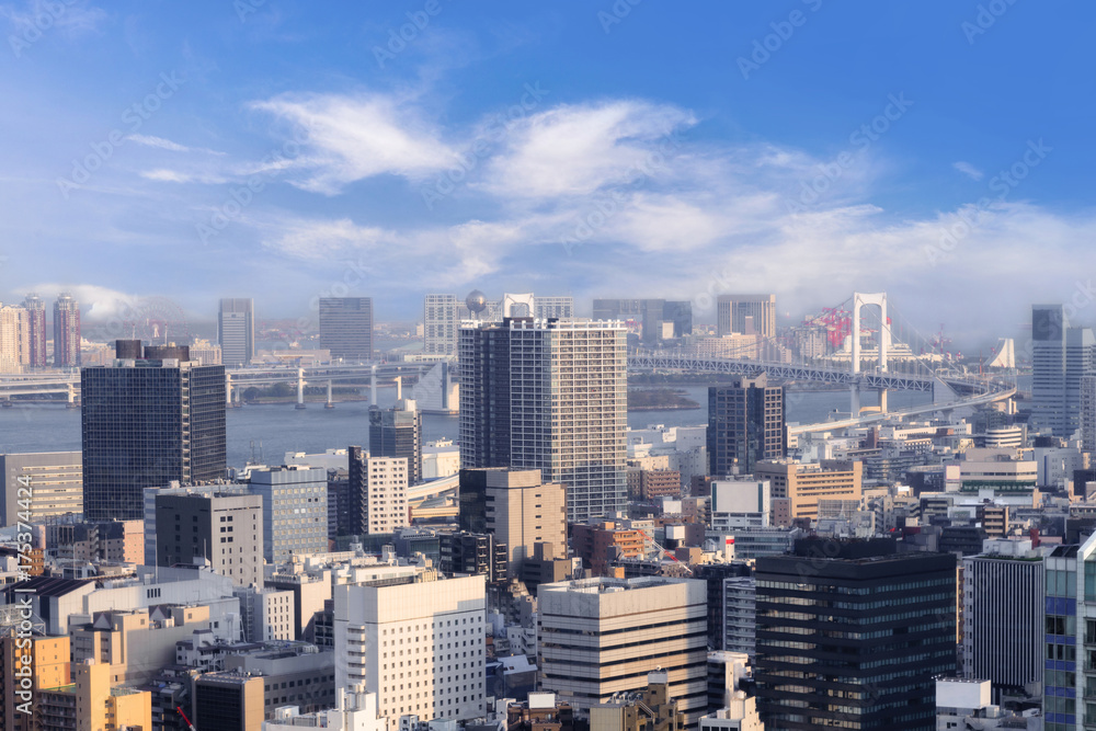 Naklejka premium Cityscapes of Tokyo, city aerial skyscraper view of office building and downtown and street of minato in tokyo with blue sly and clouds background. Japan, Asia