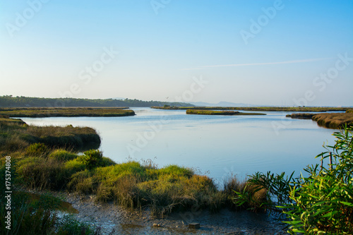 Φωτογραφία river sado in Comporta, Alentejo Portugal.