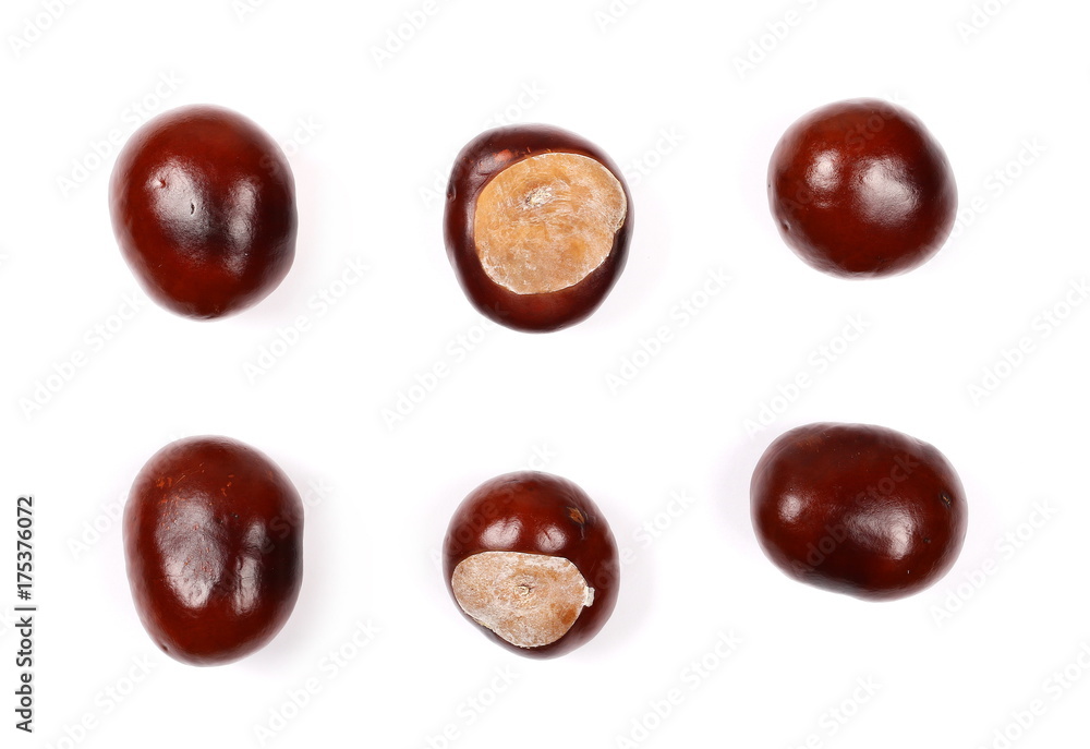 Brown chestnuts isolated on white background, top view Brown chestnuts isolated on white background, top view
