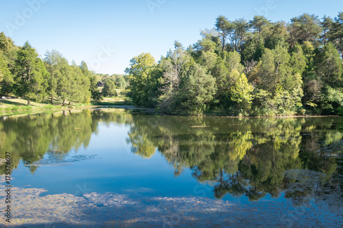 Pond Reflection