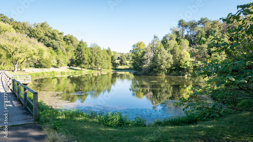 Pond Reflection © Adam
