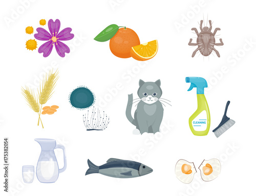 Allergy symbols disease healthcare food viruses health flat illness allergen symptoms disease information vector illustration.
