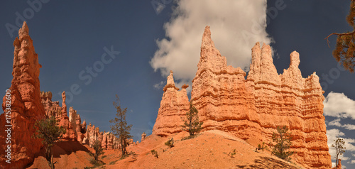 Hoodoos of Bryce canyon