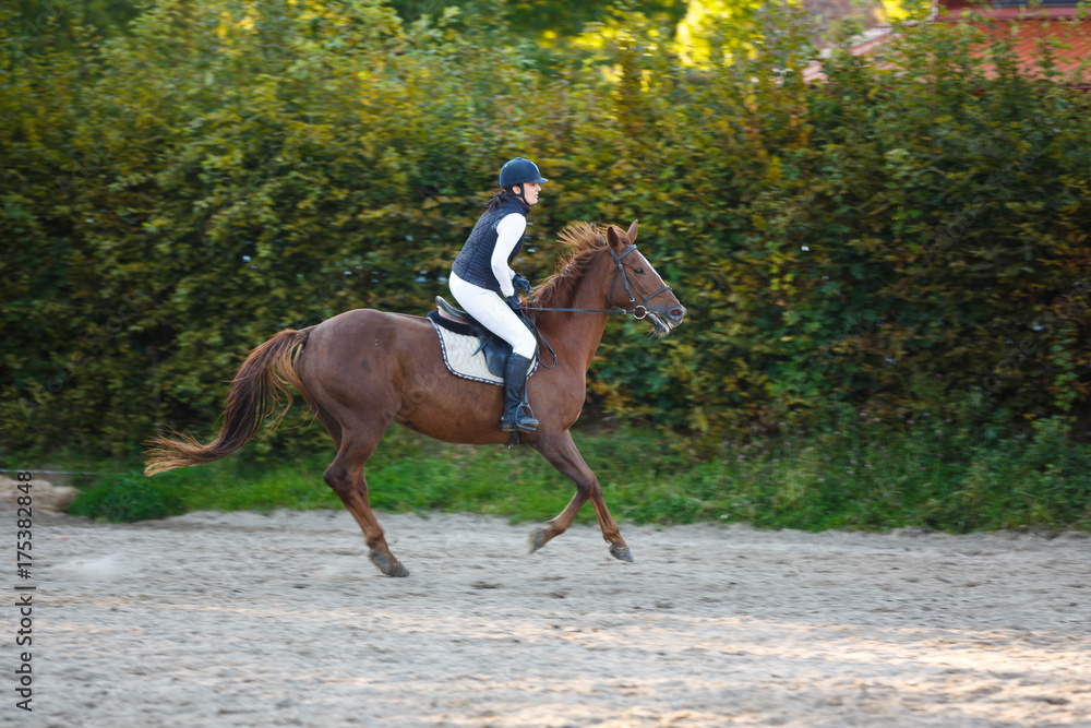 Horserider on the competition